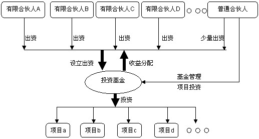 開曼設立基金